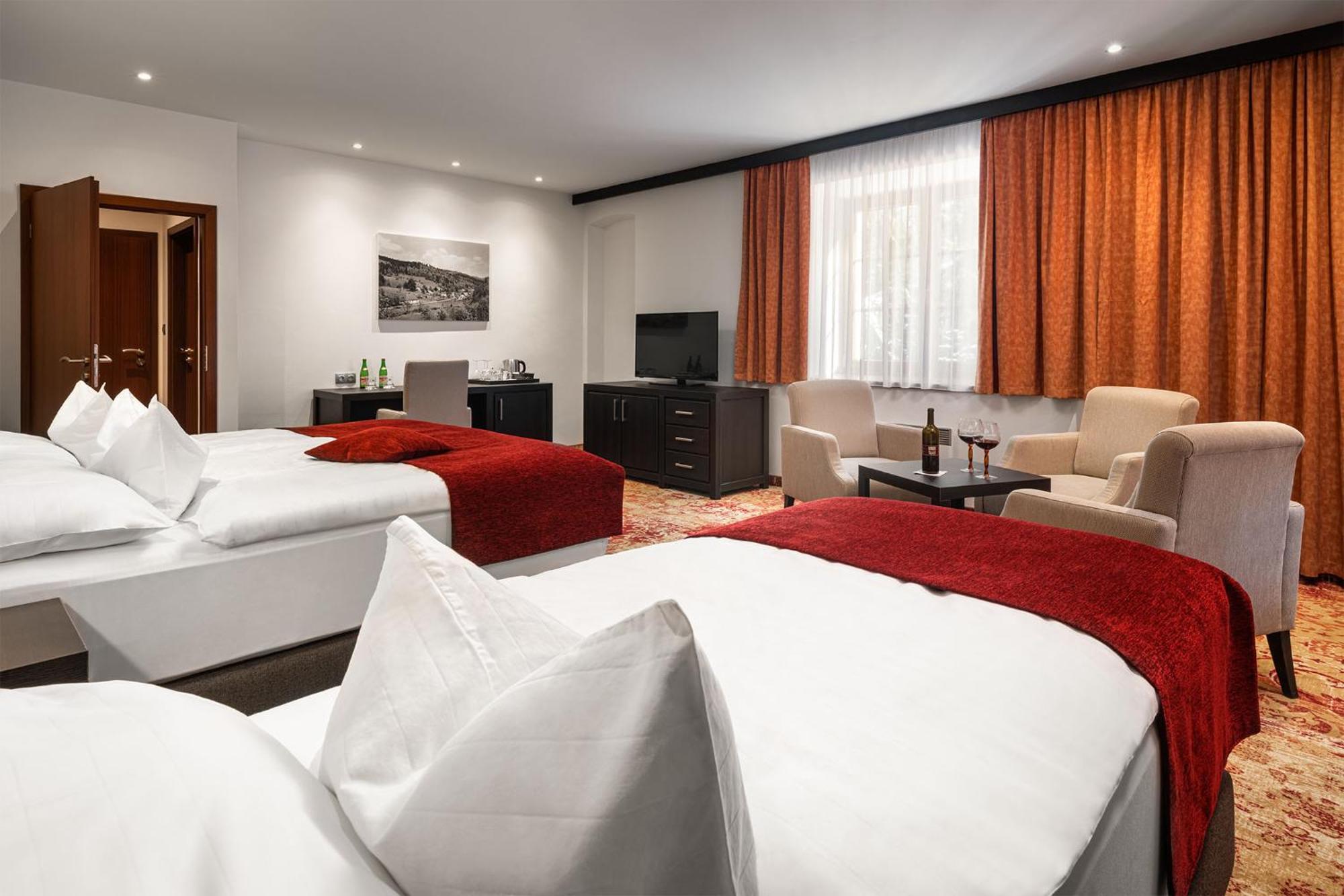 Hotel Singer Ludvíkov Room photo